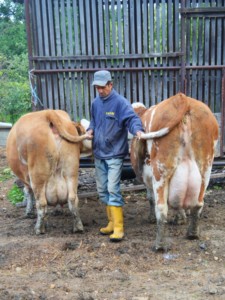 Facem Consultanţă pentru Performanţă! Facem Consultanţă pentru Performanţă!