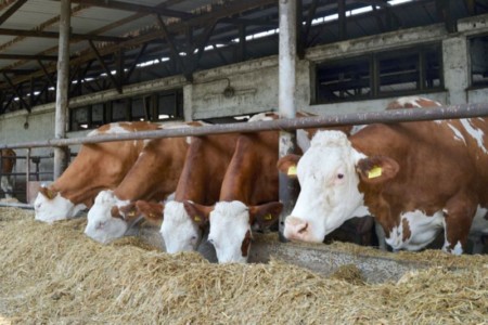 Facem Consultanţă pentru Performanţă! Facem Consultanţă pentru Performanţă!