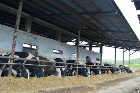 Facem Consultanţă pentru Performanţă! Facem Consultanţă pentru Performanţă!