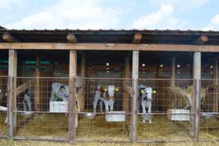 Facem Consultanţă pentru Performanţă! Facem Consultanţă pentru Performanţă!