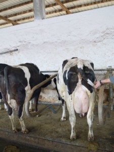 Facem Consultanţă pentru Performanţă! Facem Consultanţă pentru Performanţă!