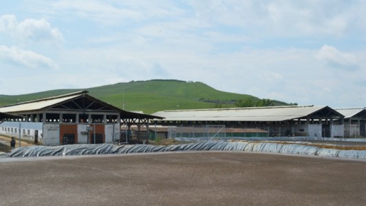 Facem Consultanţă pentru Performanţă! Facem Consultanţă pentru Performanţă!