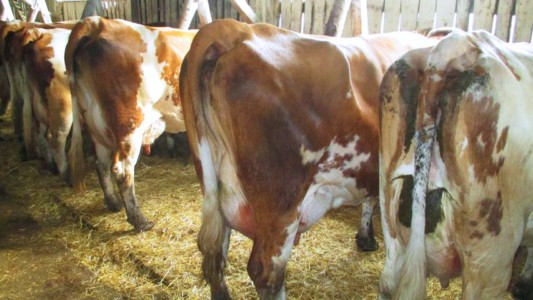 Facem Consultanţă pentru Performanţă! Facem Consultanţă pentru Performanţă!