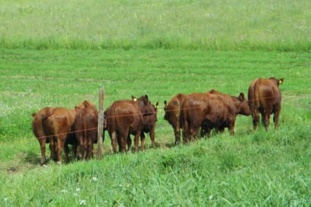 Facem Consultanţă pentru Performanţă! Facem Consultanţă pentru Performanţă!