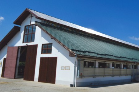 Facem Consultanţă pentru Performanţă! Facem Consultanţă pentru Performanţă!