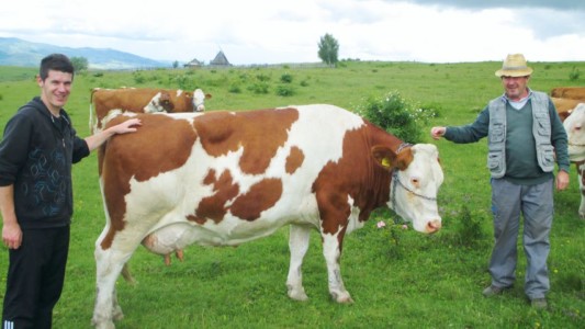 Facem Consultanţă pentru Performanţă! Facem Consultanţă pentru Performanţă!