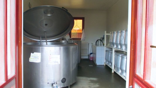 Facem Consultanţă pentru Performanţă! Facem Consultanţă pentru Performanţă!