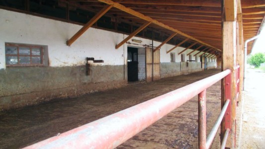 Facem Consultanţă pentru Performanţă! Facem Consultanţă pentru Performanţă!