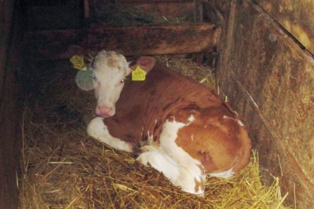 Facem Consultanţă pentru Performanţă! Facem Consultanţă pentru Performanţă!