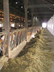 Facem Consultanţă pentru Performanţă! Facem Consultanţă pentru Performanţă!