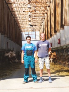 Facem Consultanţă pentru Performanţă! Facem Consultanţă pentru Performanţă!