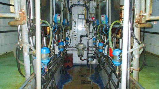 Facem Consultanţă pentru Performanţă! Facem Consultanţă pentru Performanţă!