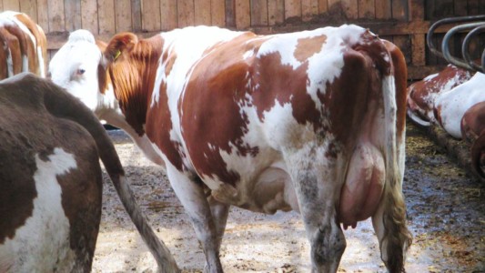 Facem Consultanţă pentru Performanţă! Facem Consultanţă pentru Performanţă!