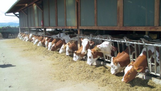 Facem Consultanţă pentru Performanţă! Facem Consultanţă pentru Performanţă!