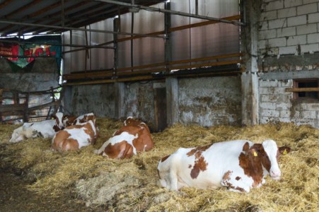 Facem Consultanţă pentru Performanţă! Facem Consultanţă pentru Performanţă!