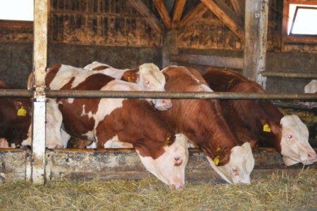 Facem Consultanţă pentru Performanţă! Facem Consultanţă pentru Performanţă!