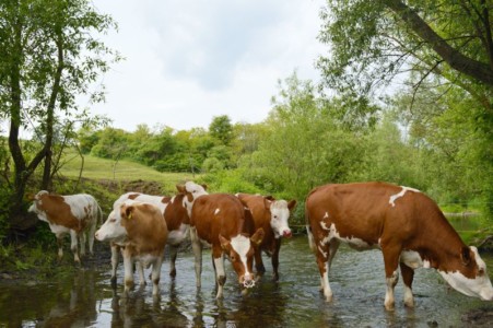 Facem Consultanţă pentru Performanţă! Facem Consultanţă pentru Performanţă!