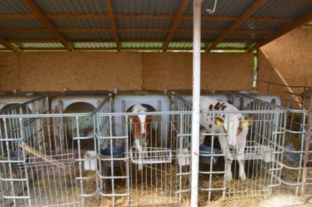 Facem Consultanţă pentru Performanţă! Facem Consultanţă pentru Performanţă!