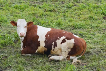 Facem Consultanţă pentru Performanţă! Facem Consultanţă pentru Performanţă!