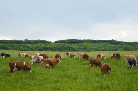 Facem Consultanţă pentru Performanţă! Facem Consultanţă pentru Performanţă!