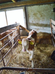 Facem Consultanţă pentru Performanţă! Facem Consultanţă pentru Performanţă!