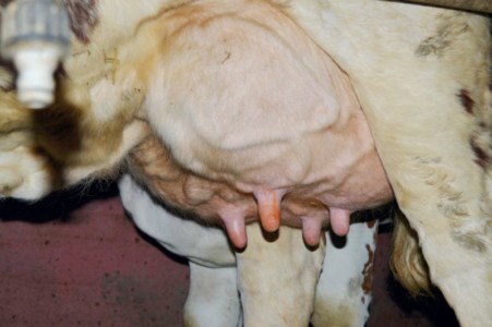 Facem Consultanţă pentru Performanţă! Facem Consultanţă pentru Performanţă!