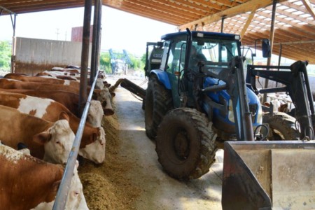 Facem Consultanţă pentru Performanţă! Facem Consultanţă pentru Performanţă!