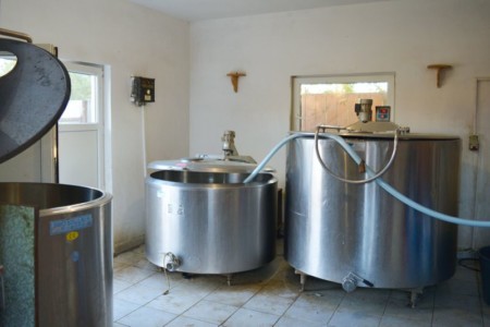 Facem Consultanţă pentru Performanţă! Facem Consultanţă pentru Performanţă!