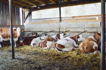 Facem Consultanţă pentru Performanţă! Facem Consultanţă pentru Performanţă!