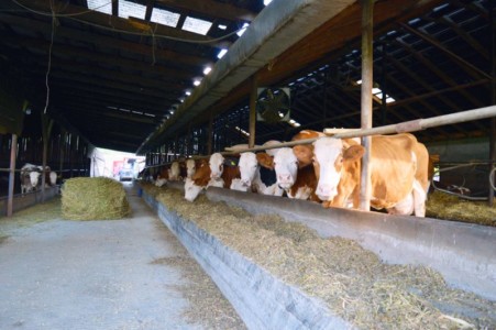 Facem Consultanţă pentru Performanţă! Facem Consultanţă pentru Performanţă!