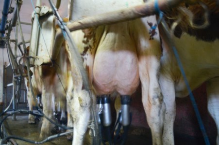 Facem Consultanţă pentru Performanţă! Facem Consultanţă pentru Performanţă!