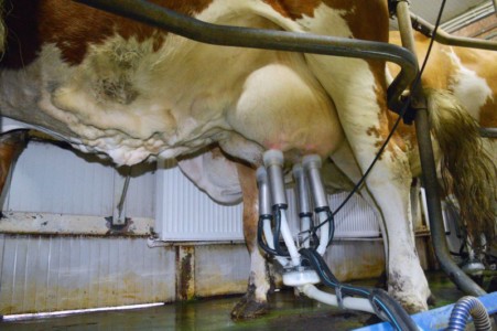 Facem Consultanţă pentru Performanţă! Facem Consultanţă pentru Performanţă!