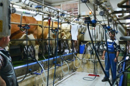 Facem Consultanţă pentru Performanţă! Facem Consultanţă pentru Performanţă!