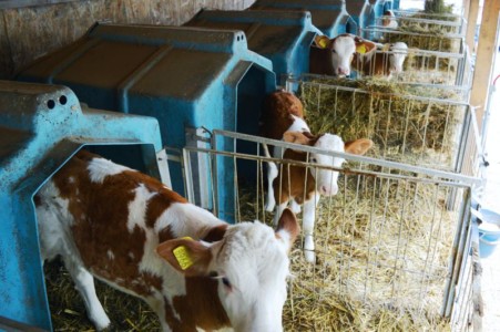 Facem Consultanţă pentru Performanţă! Facem Consultanţă pentru Performanţă!