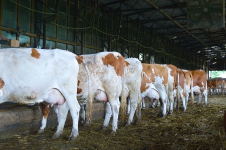 Facem Consultanţă pentru Performanţă! Facem Consultanţă pentru Performanţă!