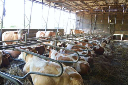 Facem Consultanţă pentru Performanţă! Facem Consultanţă pentru Performanţă!