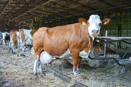 Facem Consultanţă pentru Performanţă! Facem Consultanţă pentru Performanţă!