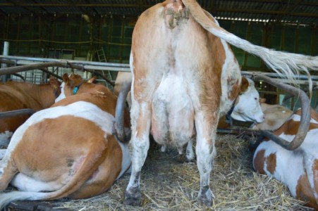 Facem Consultanţă pentru Performanţă! Facem Consultanţă pentru Performanţă!