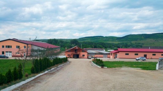 Facem Consultanţă pentru Performanţă! Facem Consultanţă pentru Performanţă!