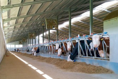 Facem Consultanţă pentru Performanţă! Facem Consultanţă pentru Performanţă!