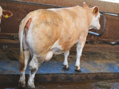 Facem Consultanţă pentru Performanţă! Facem Consultanţă pentru Performanţă!