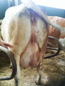 Facem Consultanţă pentru Performanţă! Facem Consultanţă pentru Performanţă!