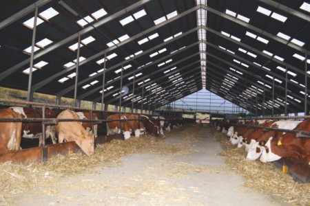 Facem Consultanţă pentru Performanţă! Facem Consultanţă pentru Performanţă!