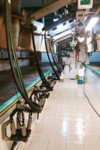 Facem Consultanţă pentru Performanţă! Facem Consultanţă pentru Performanţă!