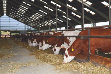 Facem Consultanţă pentru Performanţă! Facem Consultanţă pentru Performanţă!