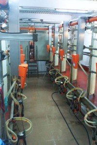 Facem Consultanţă pentru Performanţă! Facem Consultanţă pentru Performanţă!