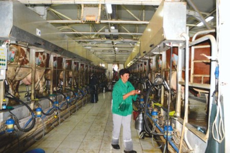 Facem Consultanţă pentru Performanţă! Facem Consultanţă pentru Performanţă!