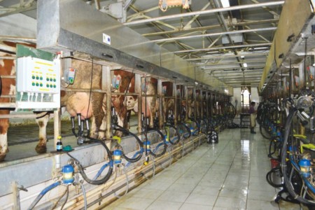 Facem Consultanţă pentru Performanţă! Facem Consultanţă pentru Performanţă!