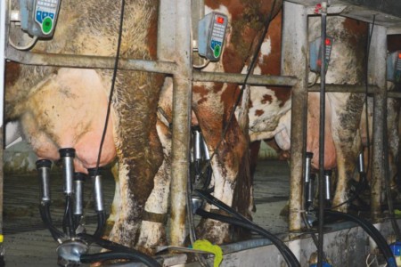 Facem Consultanţă pentru Performanţă! Facem Consultanţă pentru Performanţă!