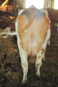 Facem Consultanţă pentru Performanţă! Facem Consultanţă pentru Performanţă!